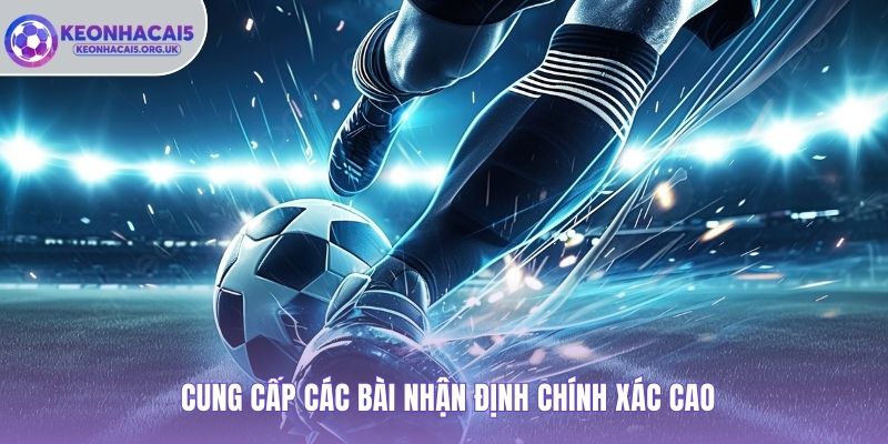 Cung cấp các bài nhận định chính xác cao